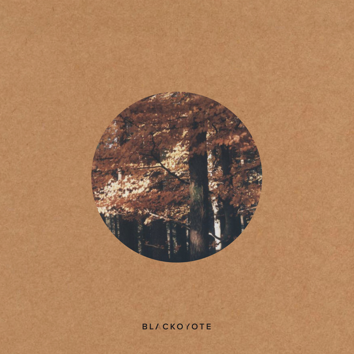 Blac Koyote - Quiet Ensemble - LP