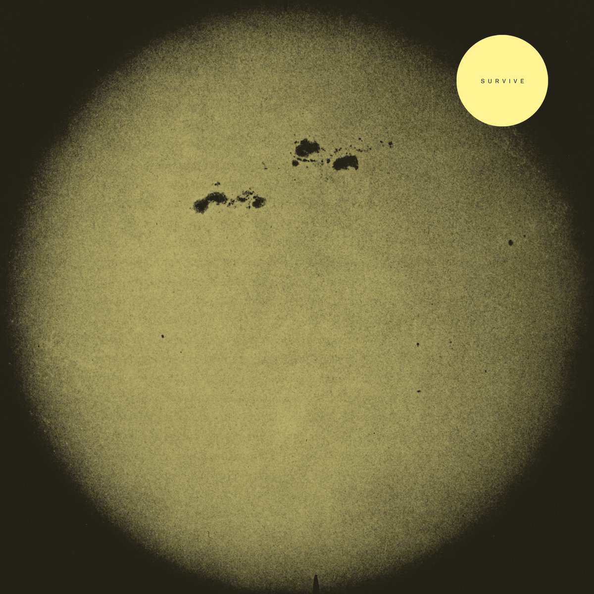 Survive - S/T - LP