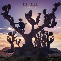 Dj Koze - Knock Knock - 2LP+7"