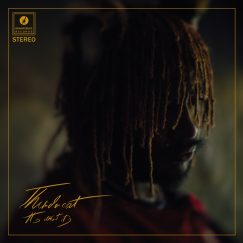 Thundercat - It Is What It Is - LP (Red)