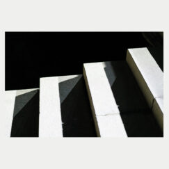 Angélica Salvi, Ece Canli, João Pais Filipe e Pedro Augusto - S/T - LP