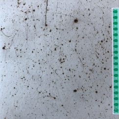 Molforts - Les Músiques Per A Albert Serra - 4LP Box