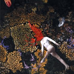 Clothilde -  Cross Sections - LP