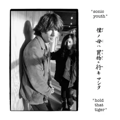 Sonic Youth - Hold That Tiger - 2LP (Blue)