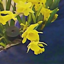 Dean Blunt & Elias Rønnenfelt - Lucre - LP