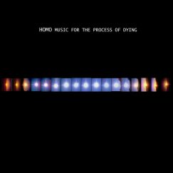 HOMO - Music For The Process Of Dying - LP